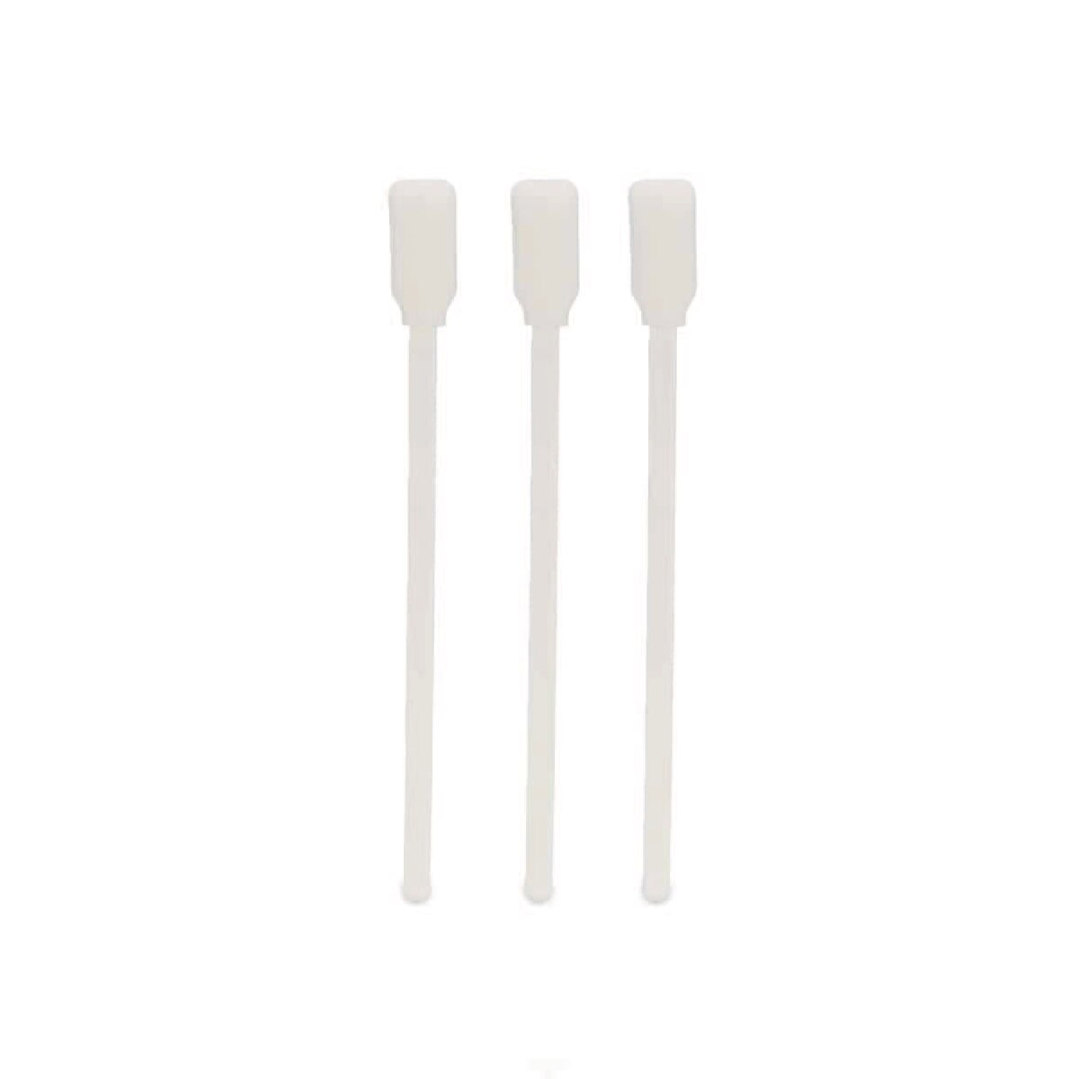 Sponge Brushes - One Size 5", Dozen