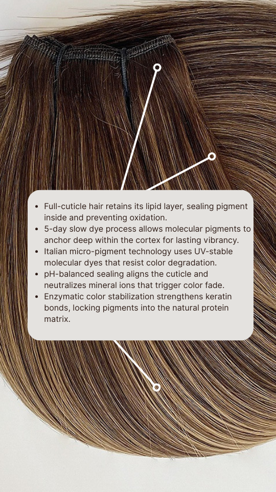 Salon Xtensions, Llc
