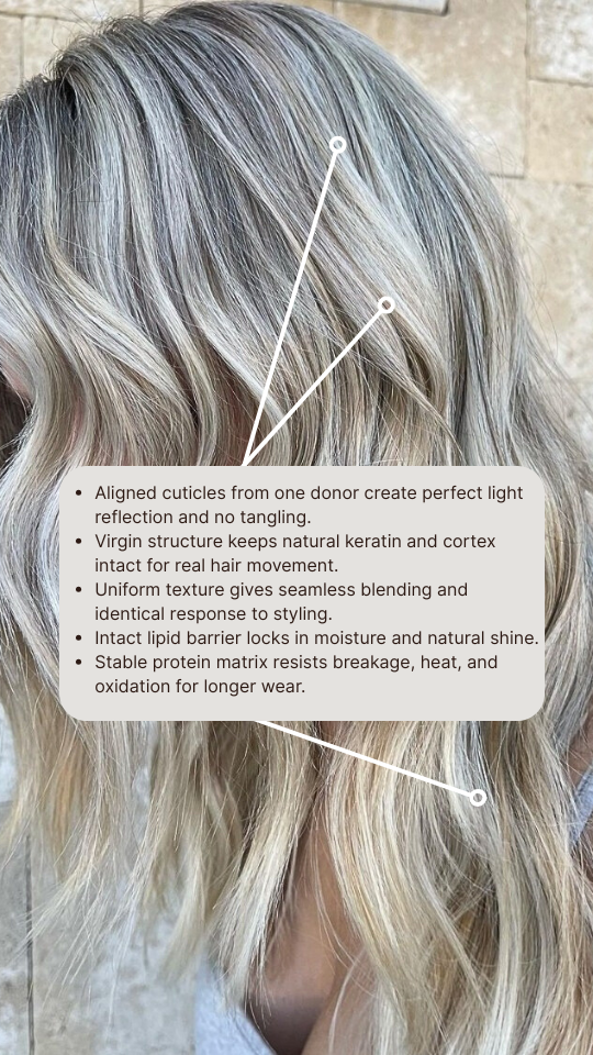 Salon Xtensions, Llc